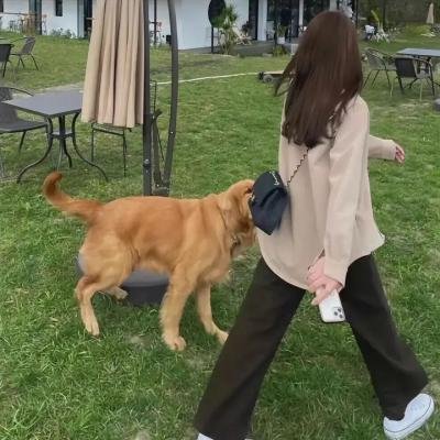 米欧王子